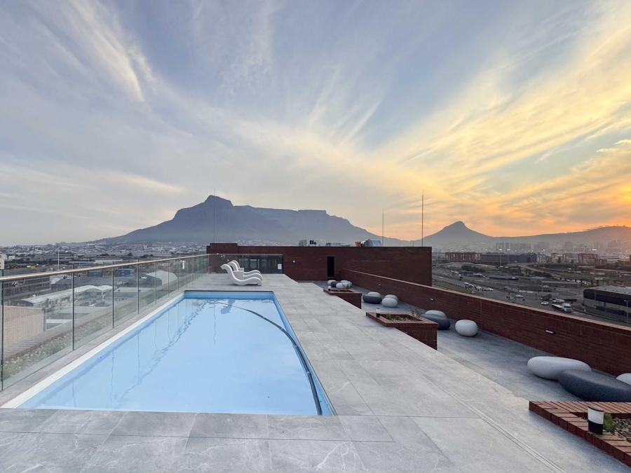 To Let 0 Bedroom Property for Rent in Paarden Eiland Western Cape